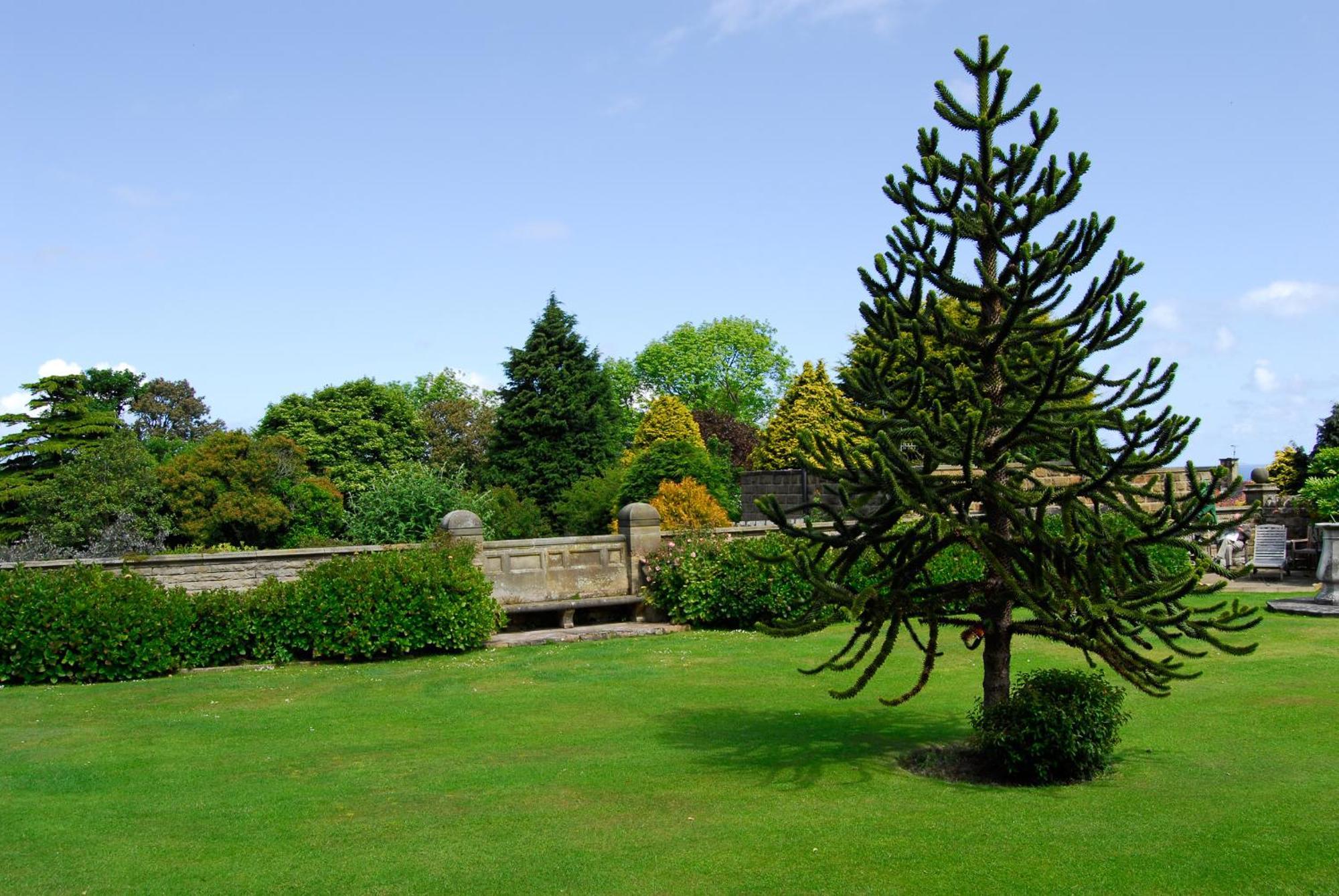 Dunsley Hall Country House Hotel Whitby Exterior photo